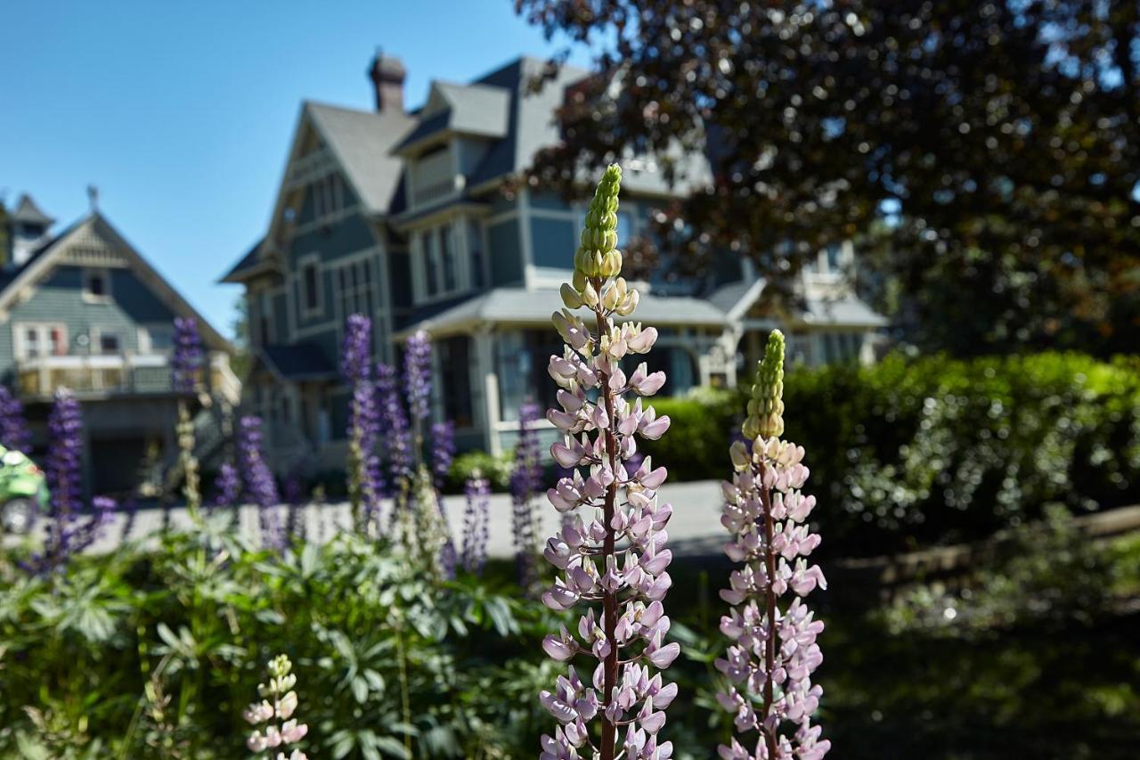 Victoria'S Historic Inn ウルフビル エクステリア 写真
